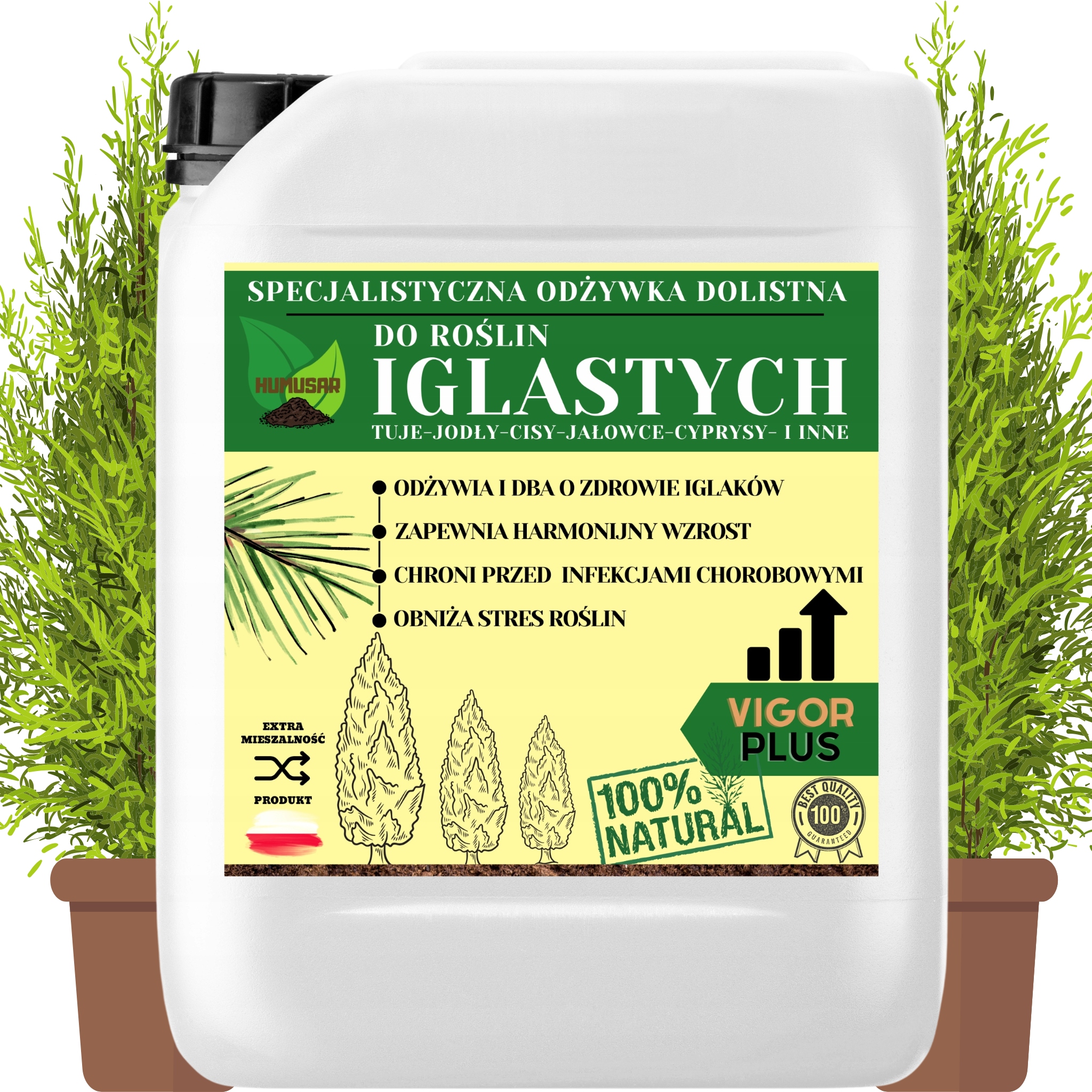 Odżywka Nawóz Do Iglaków Tui Bio Płyn Zrowy Ogród Zdrowe Tuje Efektywna 10L