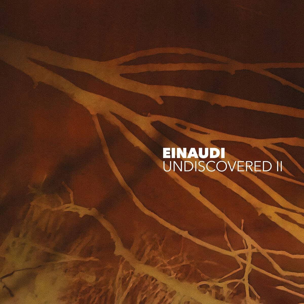 

Ludovico Einaudi: Undiscovered Vol. 2 (2XWINYL)