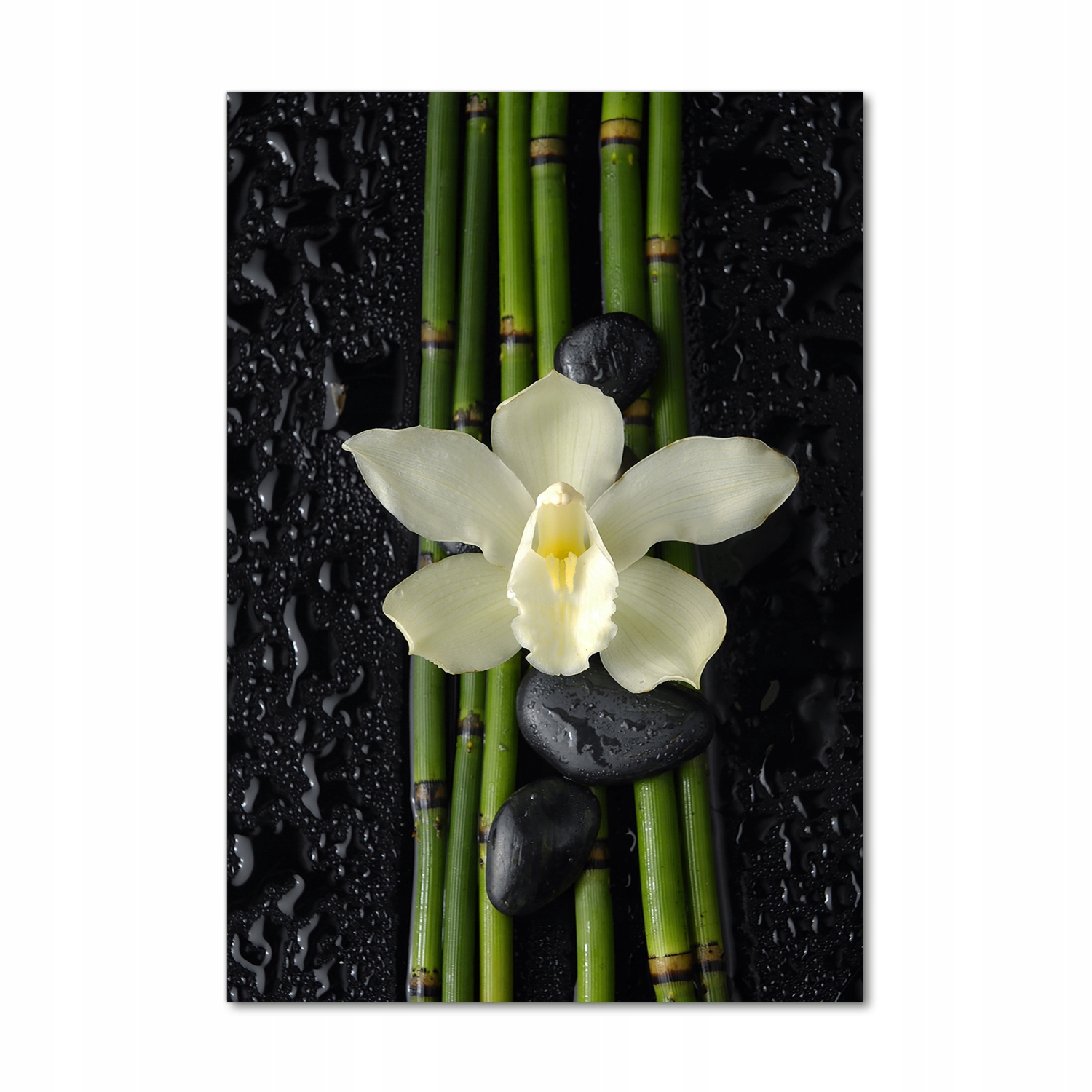 

Foto obraz akrylowy Orchidea i bambus 70x100 cm