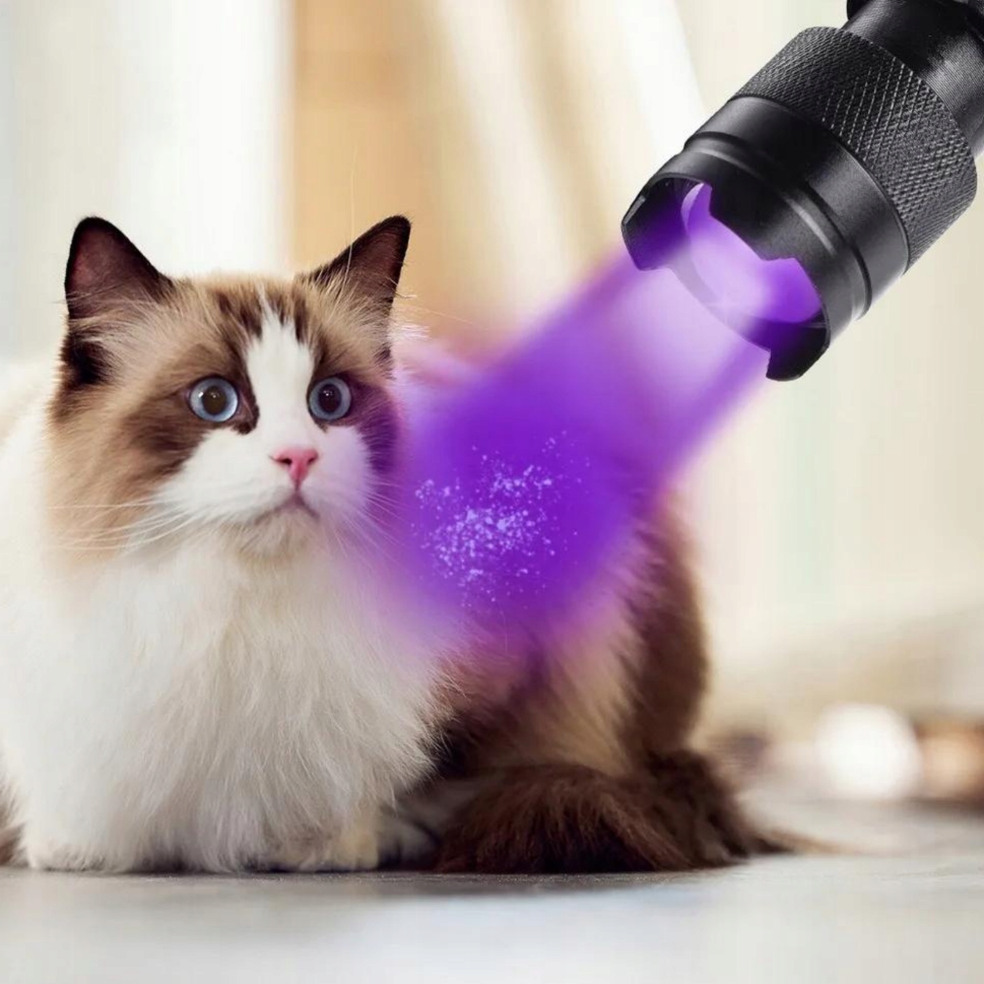 LATARKA UV DO BURSZTYNU KLIMATYZACJI BANKNOTÓW ULTRAFIOLET ZOOM + GRATIS Model LATARKA UV DO BANKNOTÓW BURSZTYNU 2X BATERIA AA