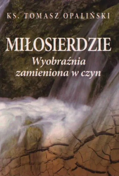 Miłosierdzie. Wyobraźnia zamieniona w czyn