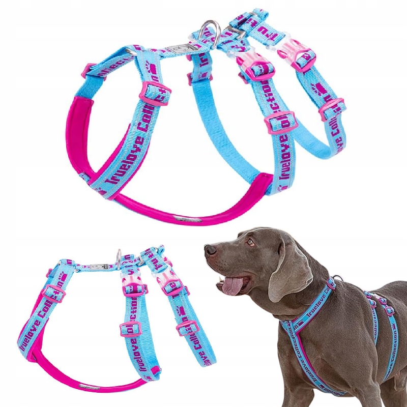 Levně Protiúnikové Postroje Pro Psa Truelove Funky Modro-růžové Velikost M