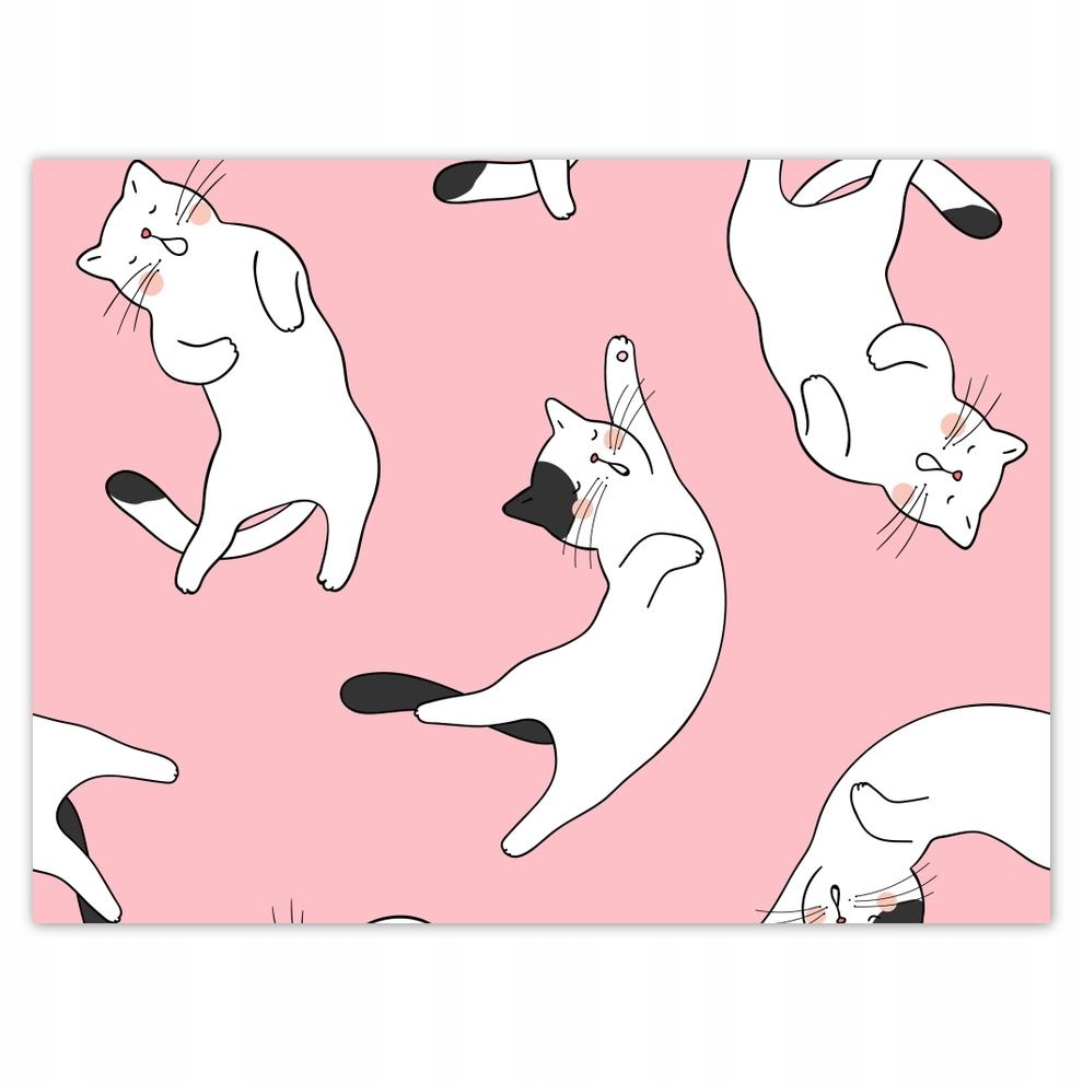 

Plakat 40x30 Kot Kotek Kotki Koty