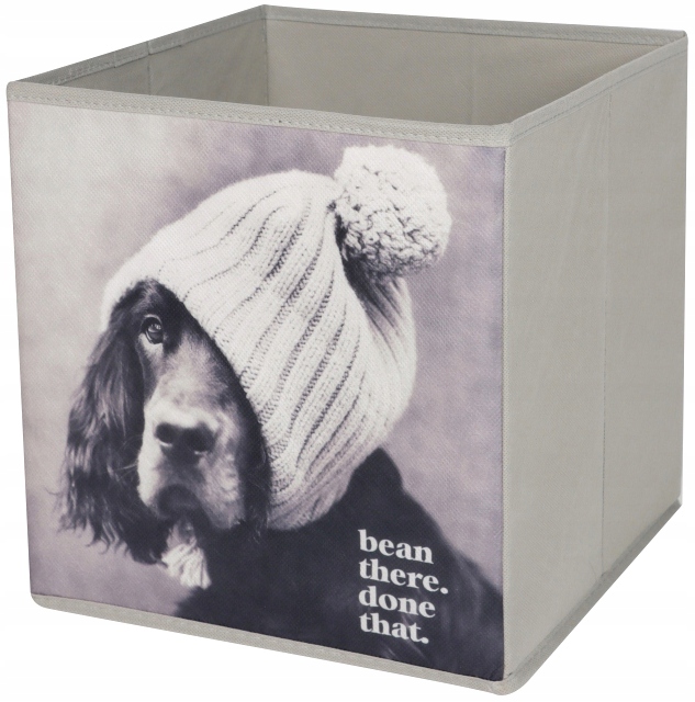 KOSZ POJEMNIK PUDEŁKO NA ZABAWKI PIES W CZAPCE 27x27x28