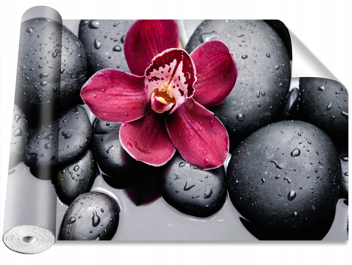 

Tapeta Samoprzylepna Orchidea Kamienie - 152x104