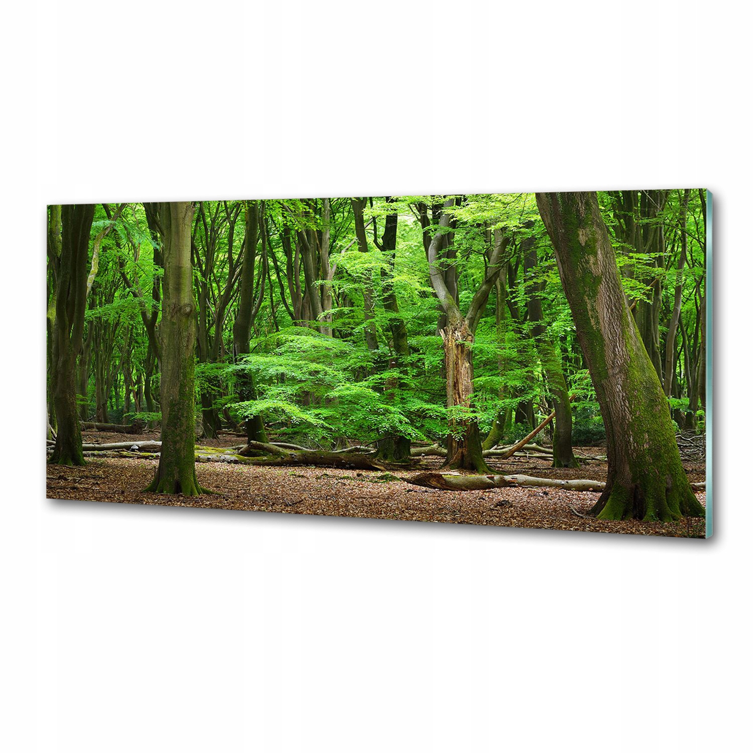 Panel do kuchyně Nizozemský les 125x50 cm Lepidlo