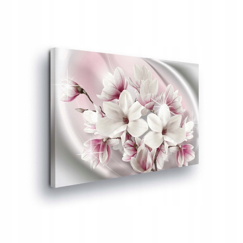 Obraz 100x75 Magnolie květiny jemnost jaro kvetení elegance
