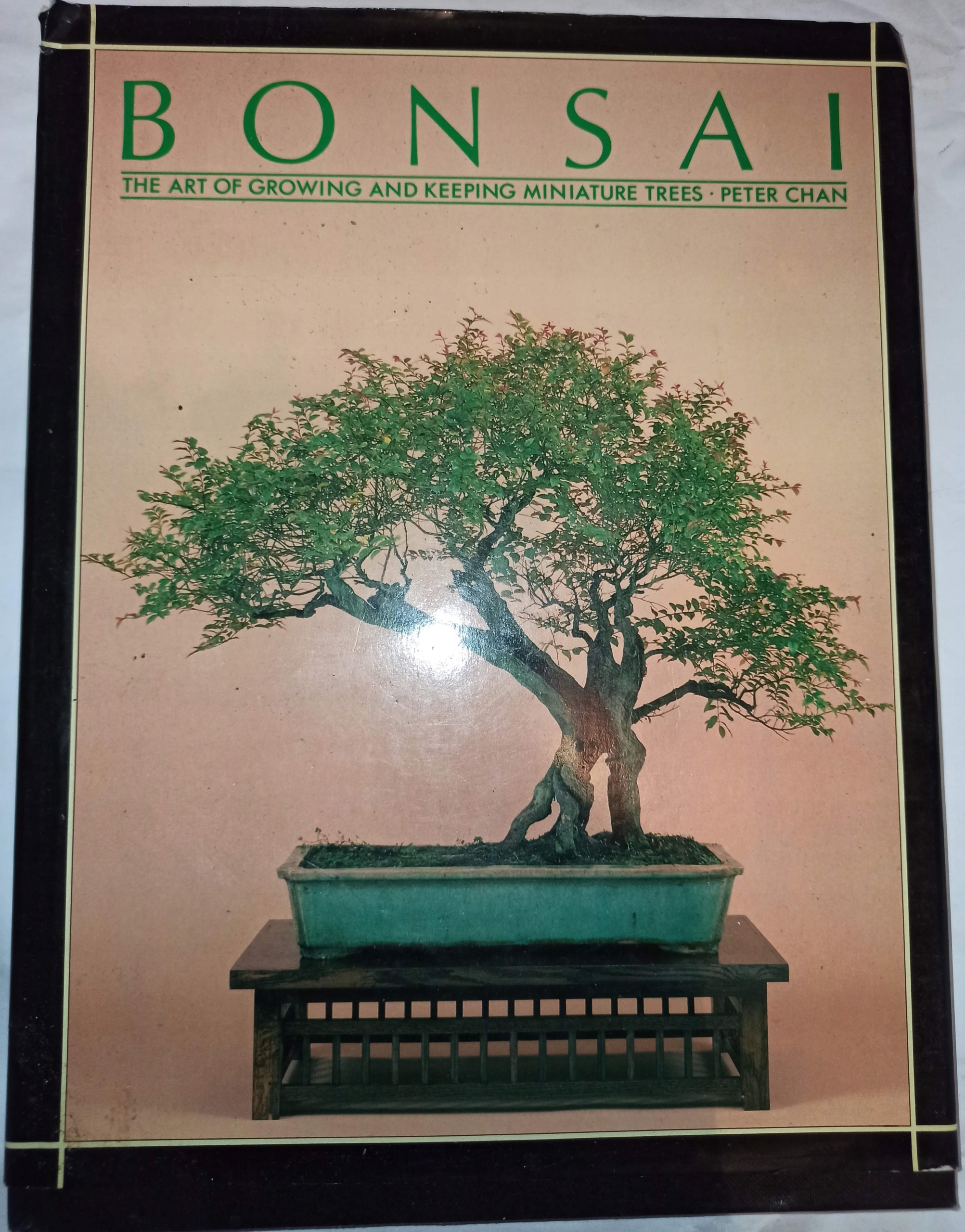 BONSAI THE ART OF GROWING AND KEEPING MINIATURE (12698639973) Książka