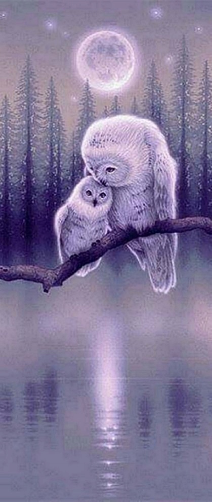 Diamantová Výšivka Diamond Painting Mozaika Mystické sovy 50x110 cm 5D sada