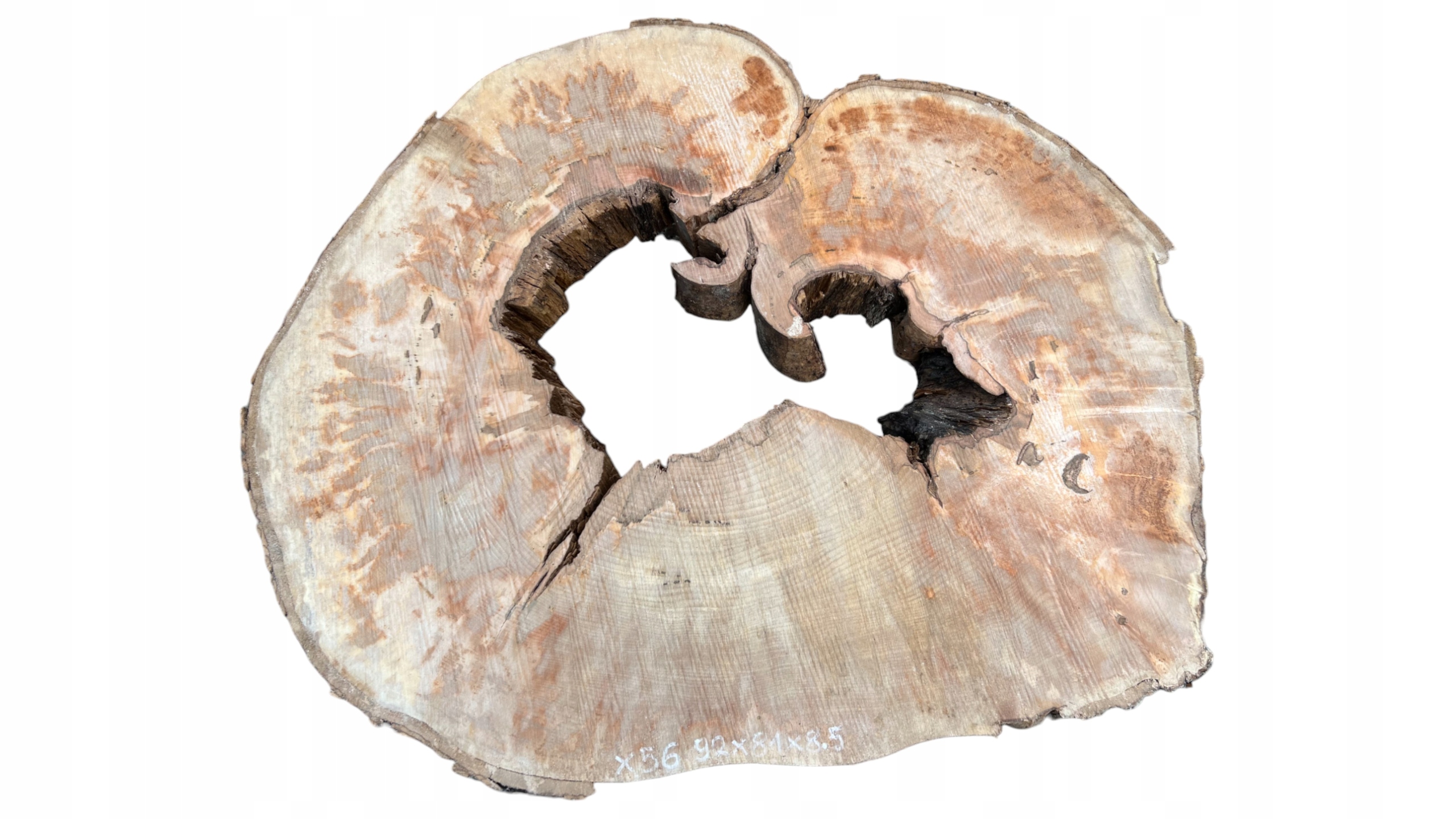 Plaster Drewna Jawor 92x81x8,5cm Duże Rozmiary Blat