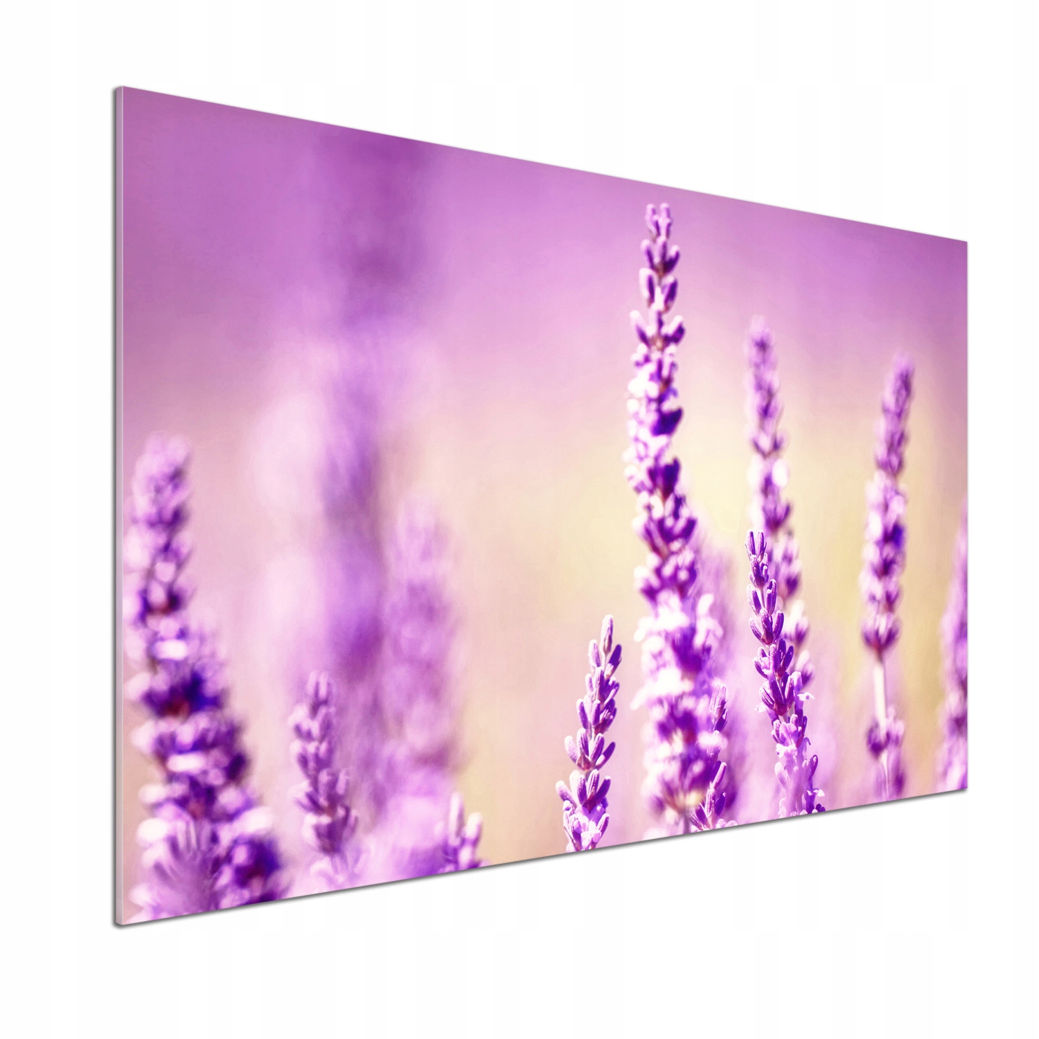 Skleněný panel do kuchyně Levandule 100 x 70 cm Lepidlo
