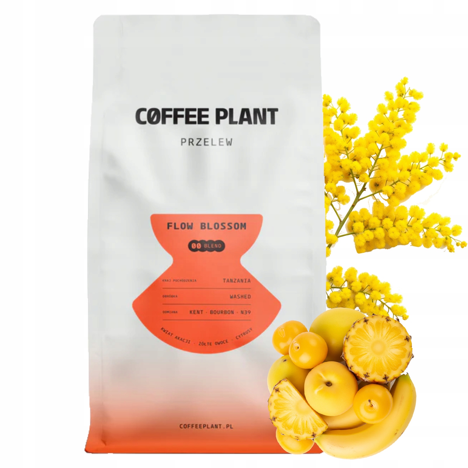 Levně Káva zrnková Coffee Plant Přeliv Flow Blossom 100% Arabika 800 g