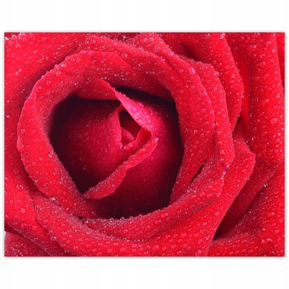

Plakat 50x40 Dzień Kobiet Prezent Love