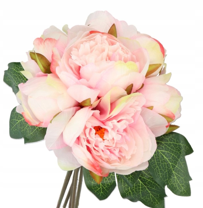 

Bukiet Kwiatów Gęsty Piwonii Peonii Piwonia Peonia