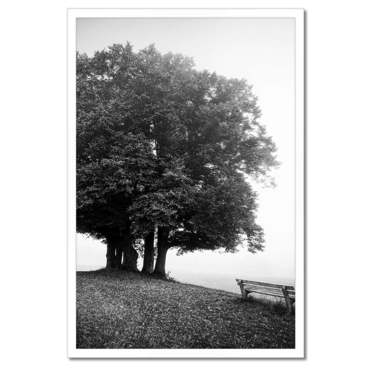 Plakáty v rámu 40x60 Krajina v šedé barvě Bw