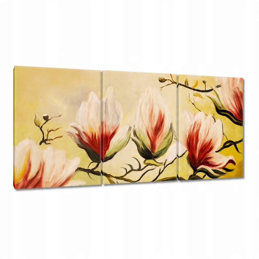 

Obrazy 120x60 Magnolie