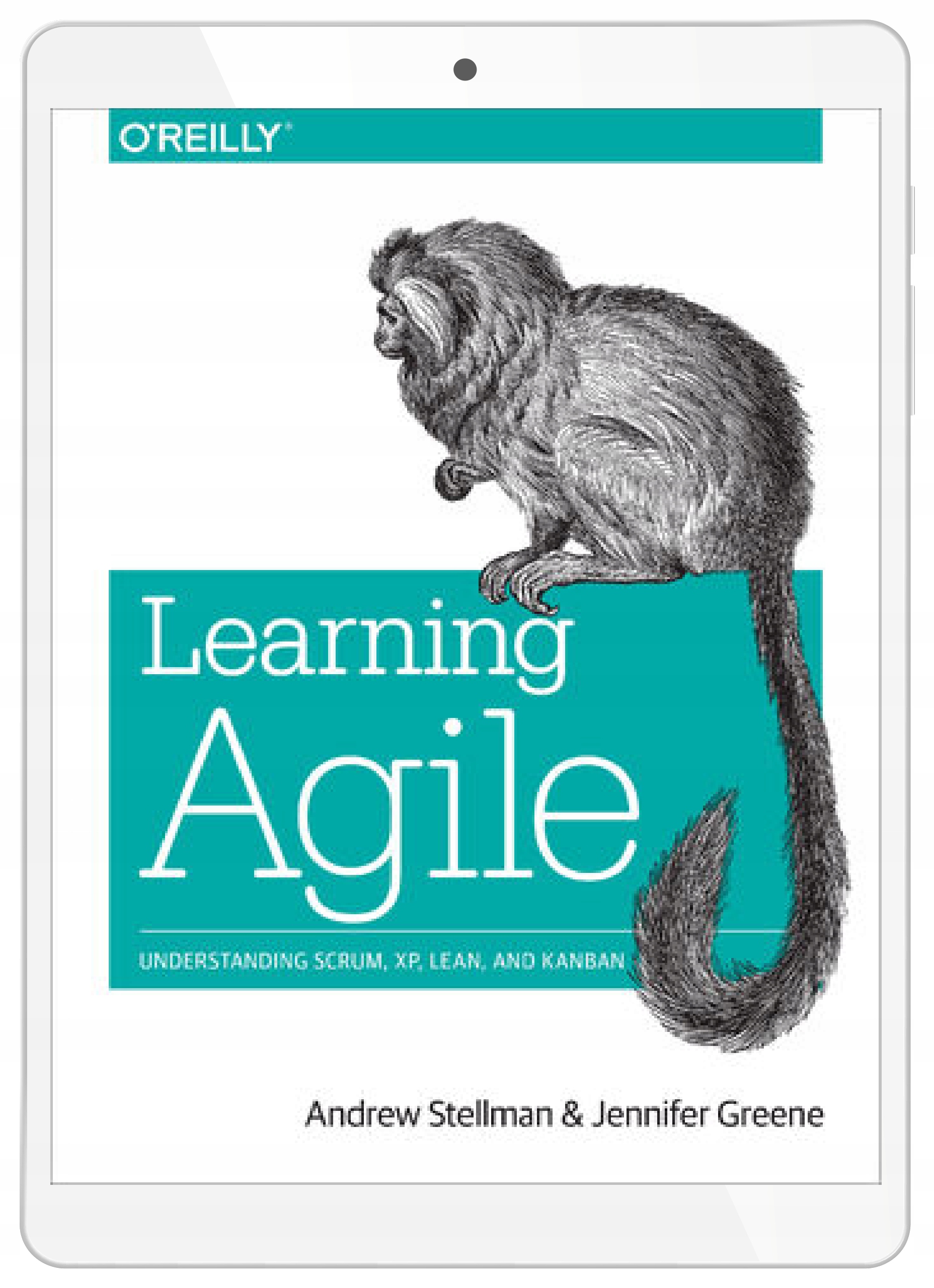 Learning Agile. Understanding Scrum, XP, Lean, and