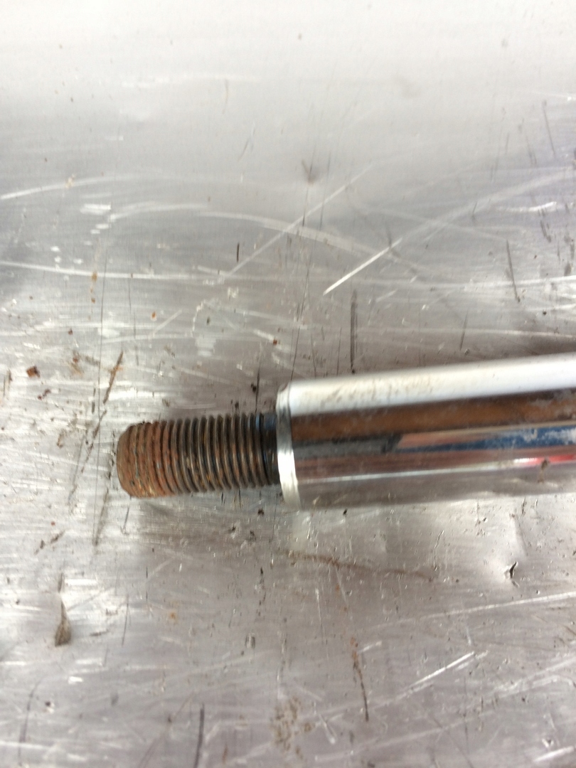 shock absorber FORD FOCUS front FORD