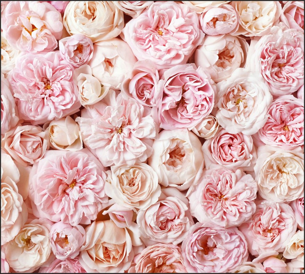 Tło do fotografii produktowej kulinarnej Flat Lay