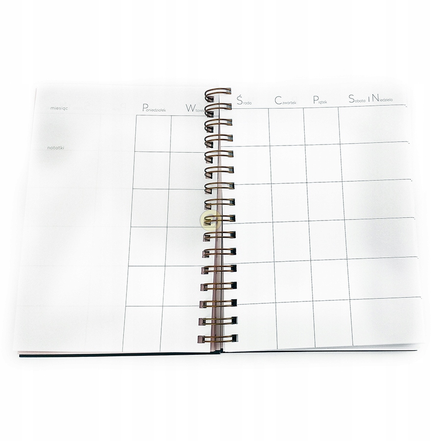 ORGANIZER BULLET JOURNAL A5 NA SPRALI Producent Interdruk