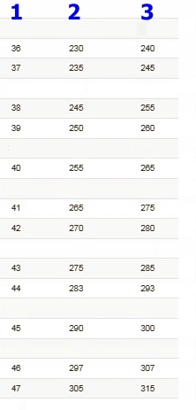 narty backcountry Asnes C. Skog BC +Alpina Wyoming Sezon 2022 / 2023