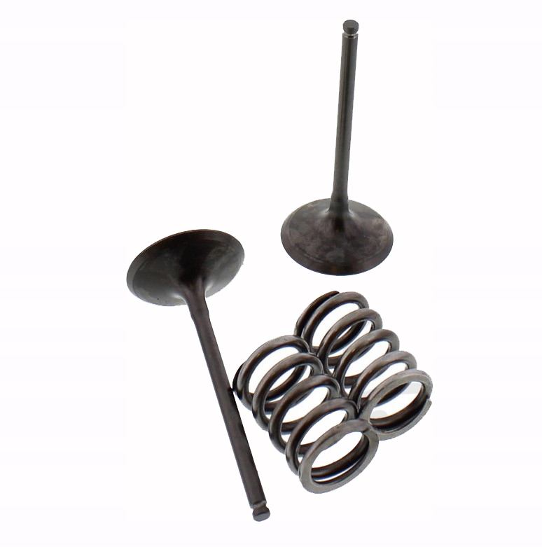 7470634 - ВСАСЫВАЮЩИЙ КЛАПАН ПРУЖИННЫЕ КЛАПАНЫ SUZUKI RM-Z 450 05-06