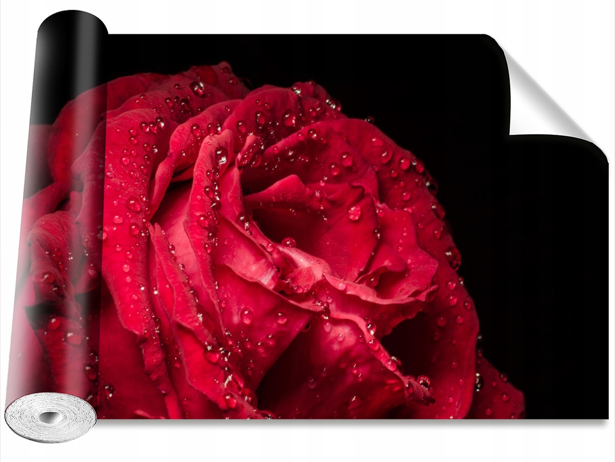 

Tapeta Samoprzylepna Czerwona róża 416x254