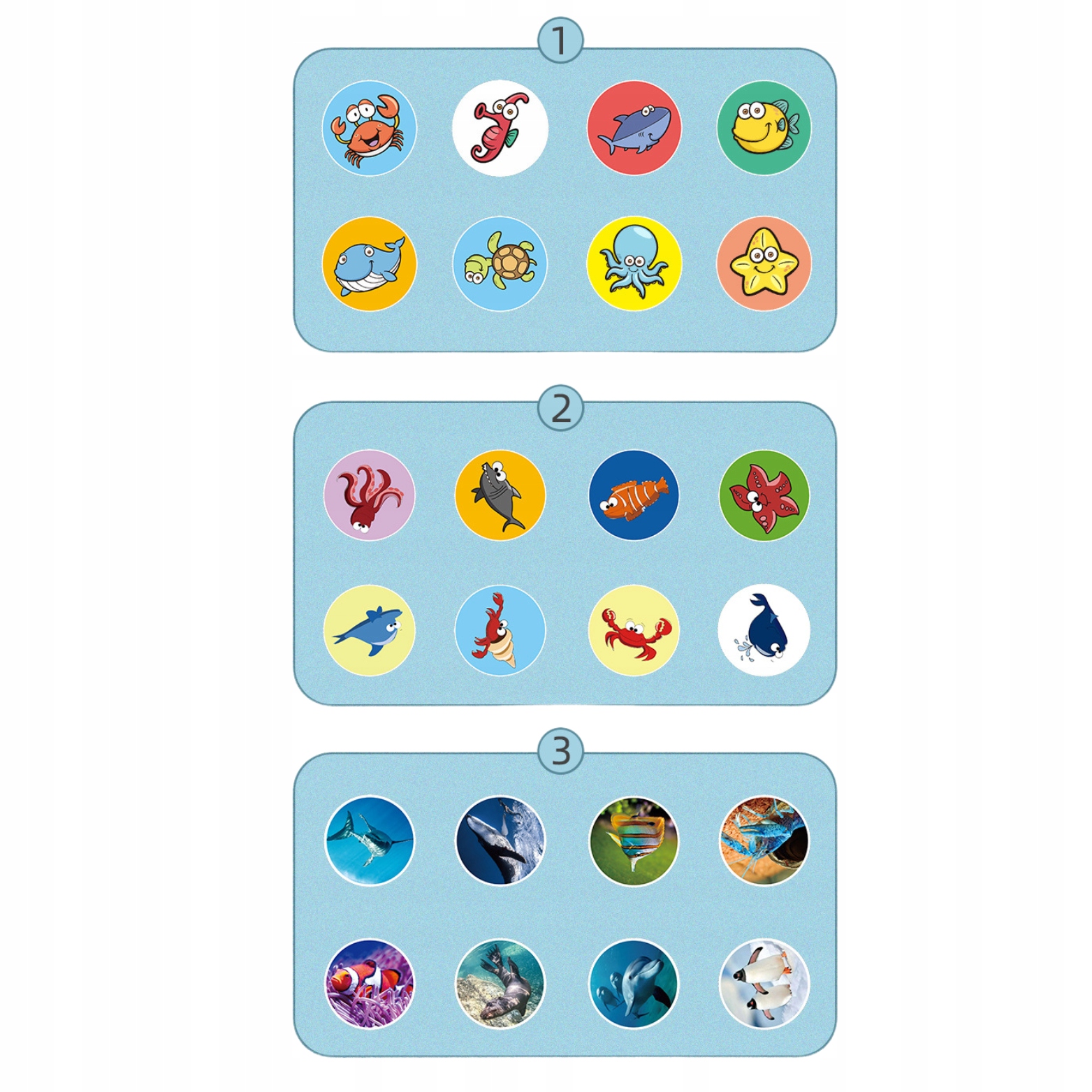 Projektor Rzutnik Wielofunkcyjny Różne Obrazki Efekty Slajdy Blind Box Minimalny wiek dziecka 3