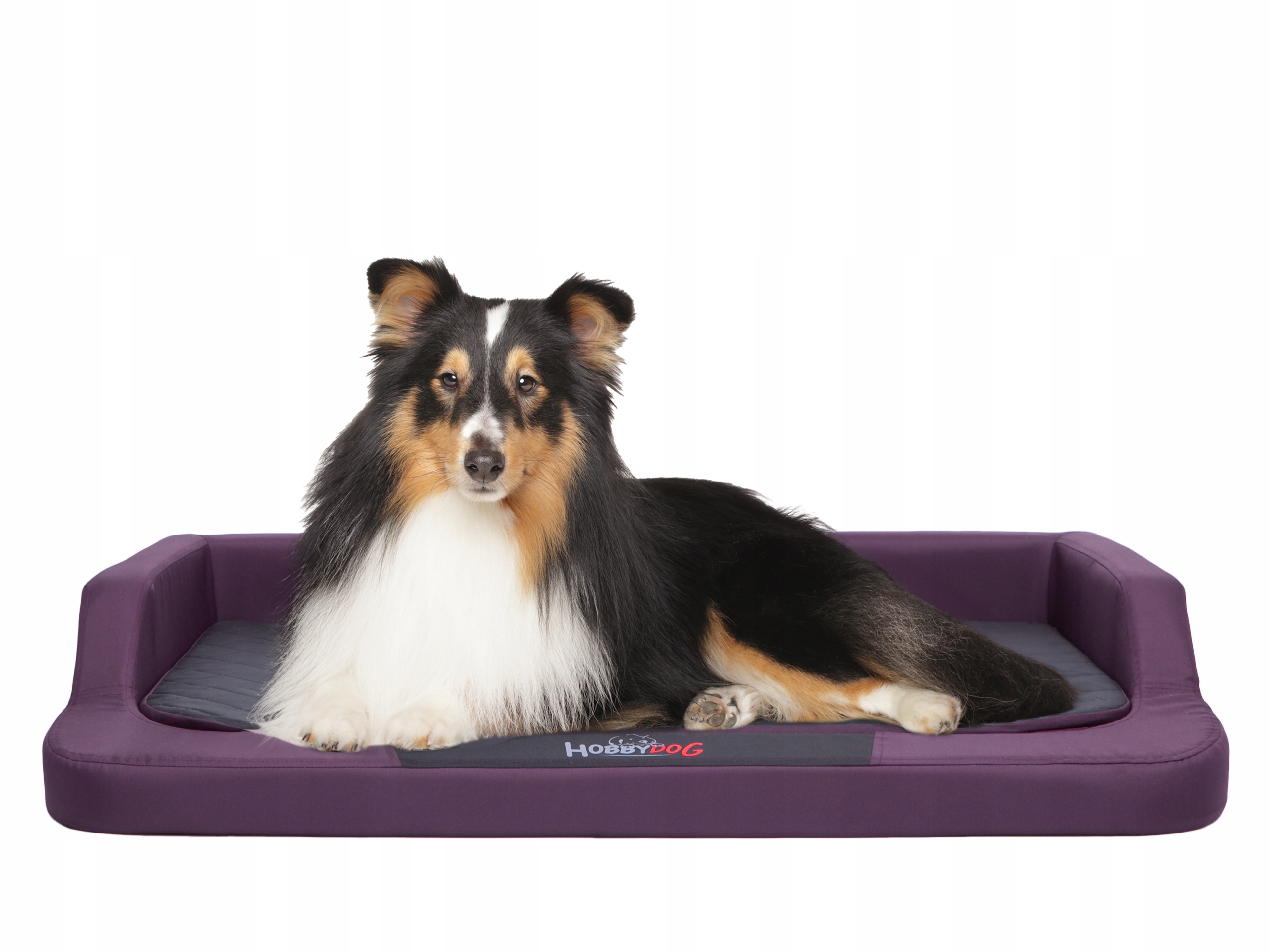 Levně Pelíšek pro psa, XXL pohovka: 120x80