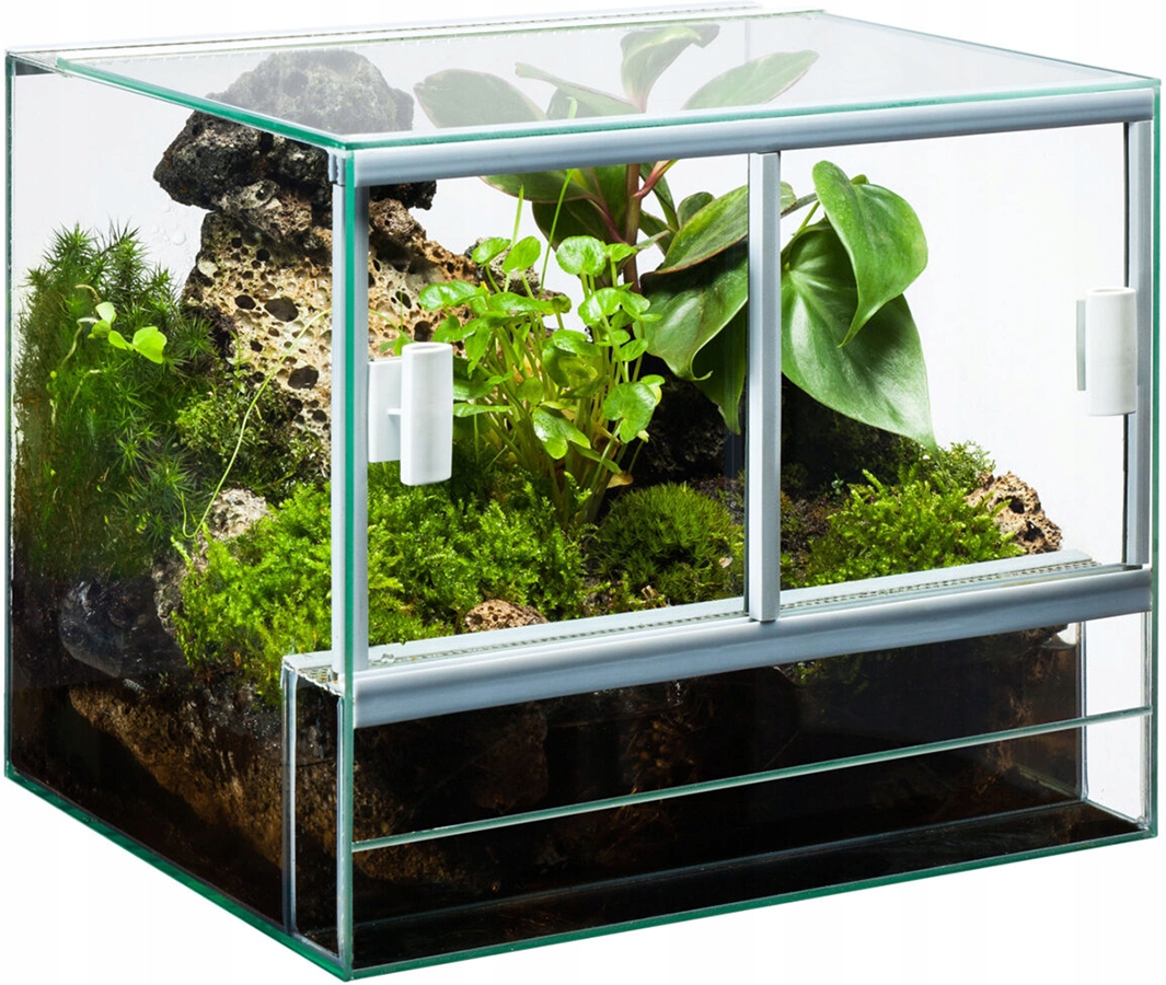 Diversa Terrarium Szklane 50x30x40cm Dla Pająka Modliszki Żaby Ślimaka