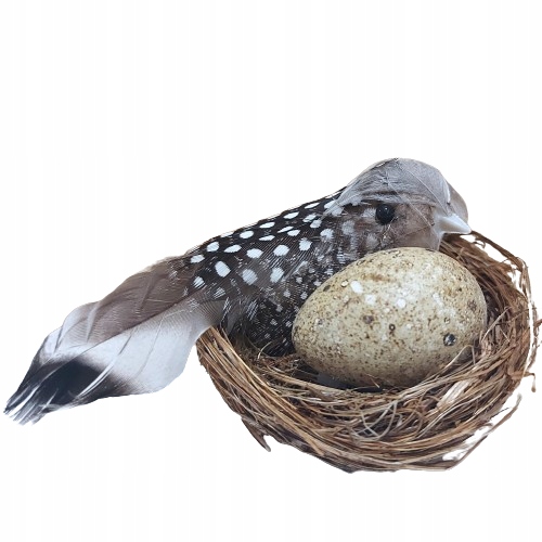 GNIAZDO Z PTAKAMI JAJKA JAJA PTASIE GNIAZDO