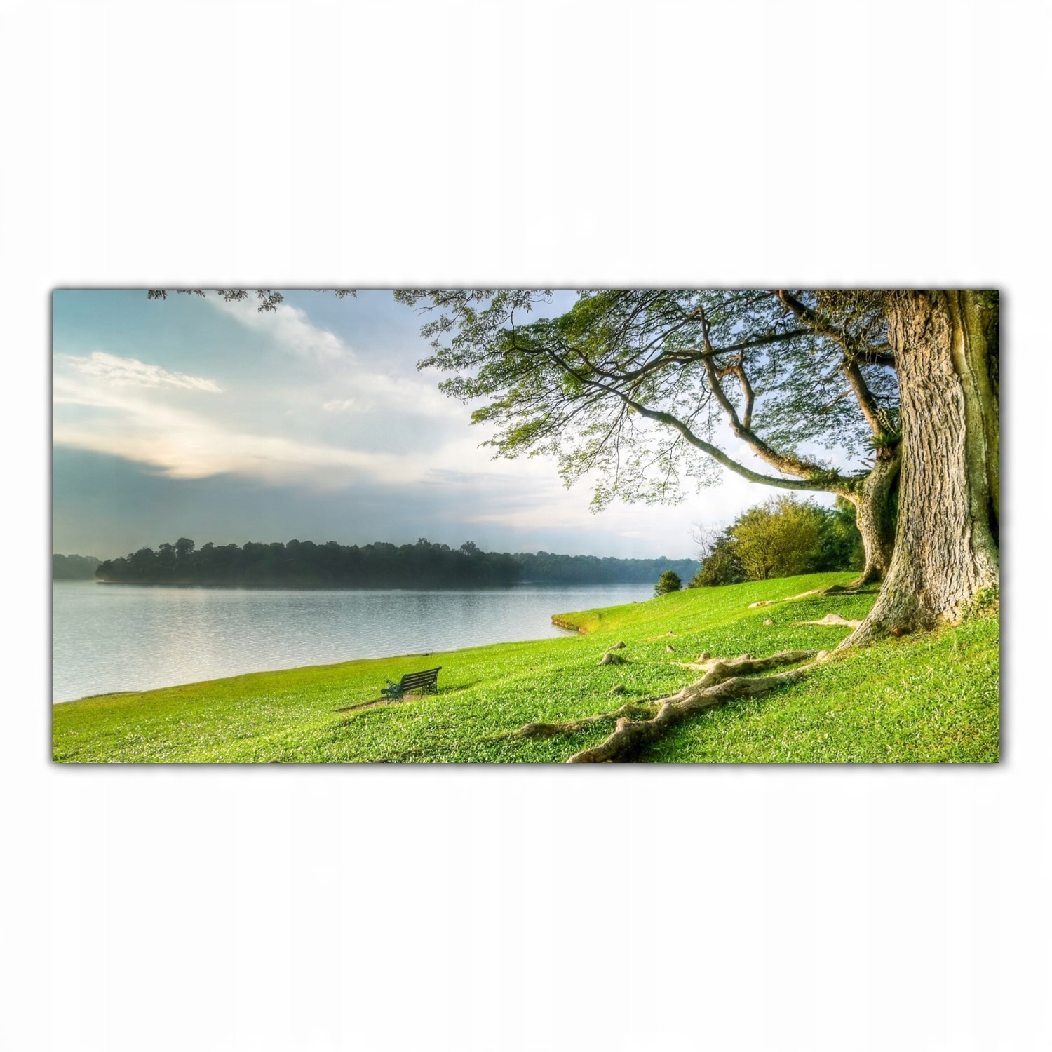 

Hartowany Obraz Szklany Łąka Drzewa Natura 120x60