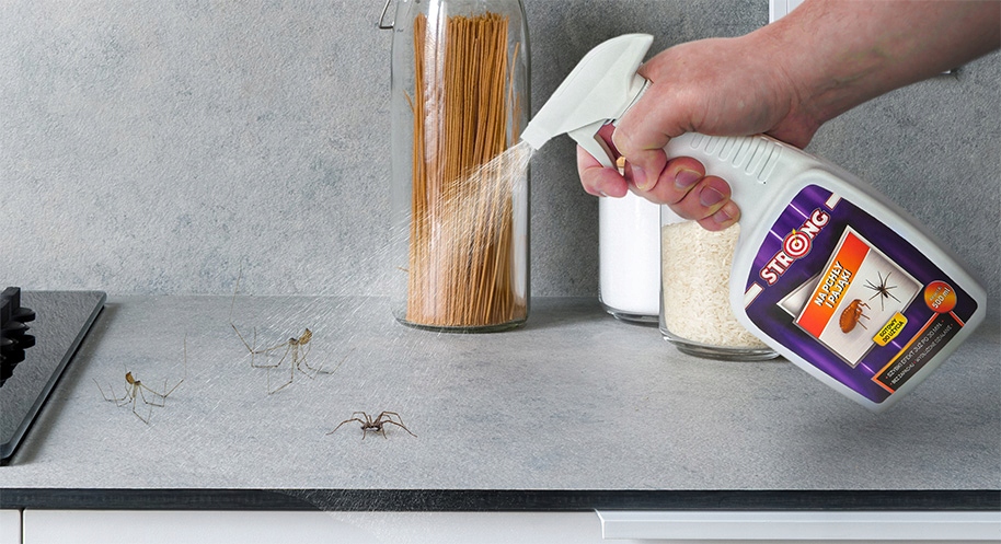 PŁYN PREPARAT NA PAJĄKI W DOMU SPRAY ŚRODEK NA PAJĄKI PCHŁY STRONG 500 ML Producent Strong