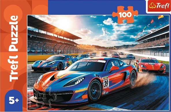 PUZZLE 100 SZYBKA WYŚCIGÓWKA 17403