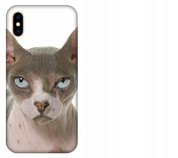 

Etui pokrowiec iPhone Xs Max Kot sfinks kotek