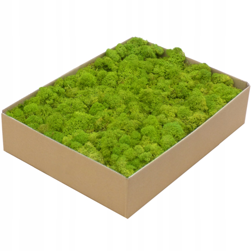 Mech Chrobotek Premium Lime Green Karton 600 g