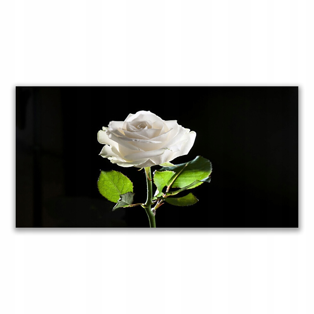 

Obraz akryl 120x60 Róża Kwiat Roślina Natura 120x6