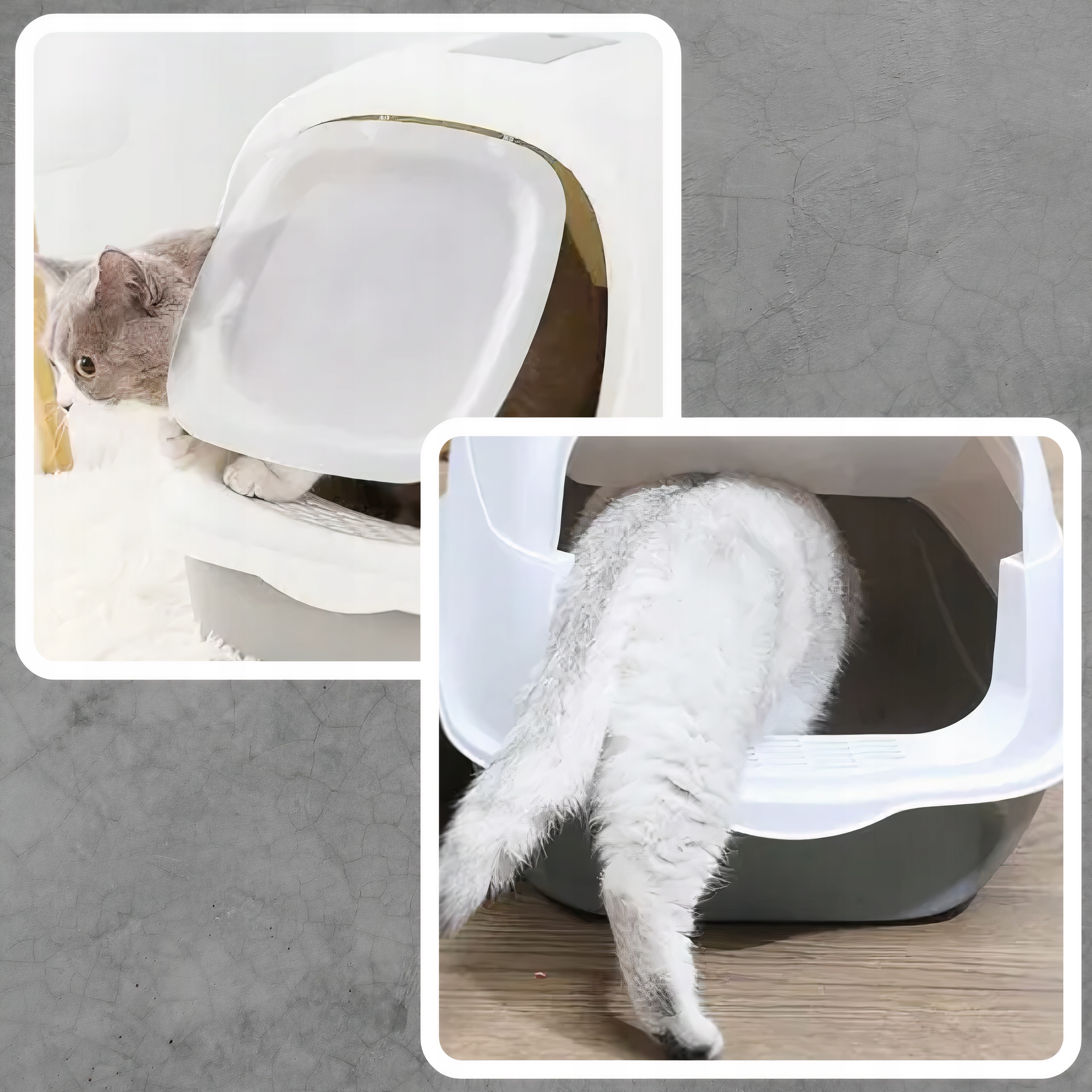 KUWETA DLA KOTA DUŻA SOLIDNA WYTRZYMAŁA ZAMKNIĘTA NA ŻWIREK FILTR ŁOPATKA Model KUWETA DLA KOTA ZAMYKANA