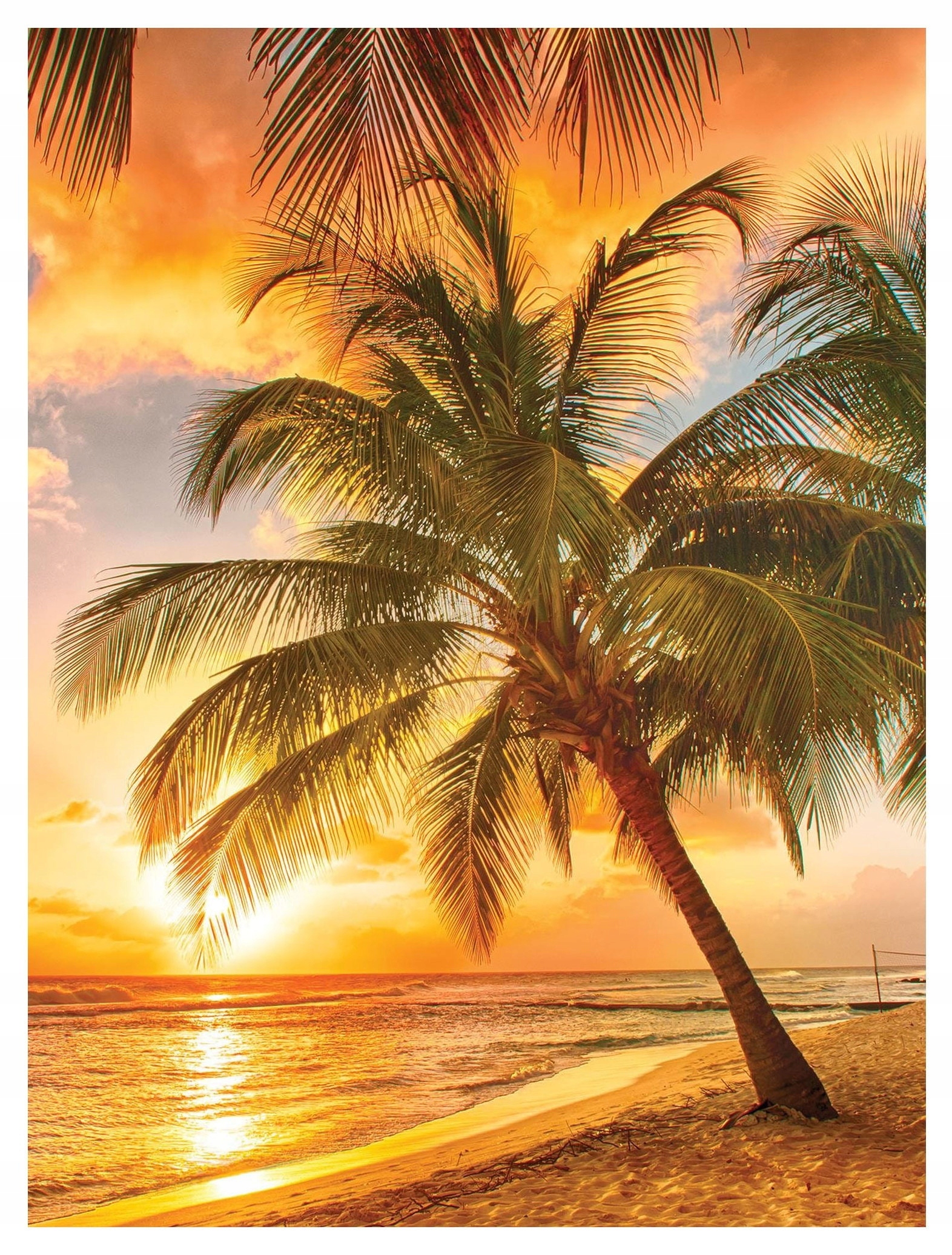 Vliesová fototapeta Pláž Palmy Oceán Relax 206x275 lepidlo