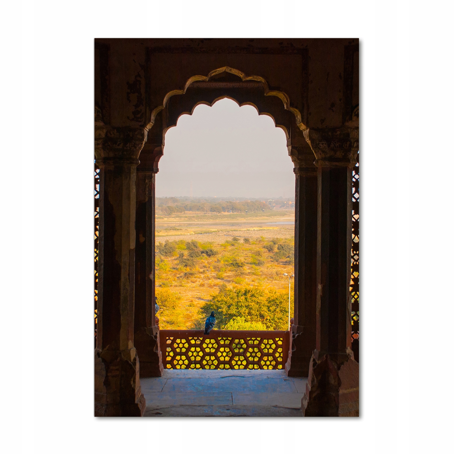 

Foto obraz szkło akrylowe Fort Agra Indie 70x100cm
