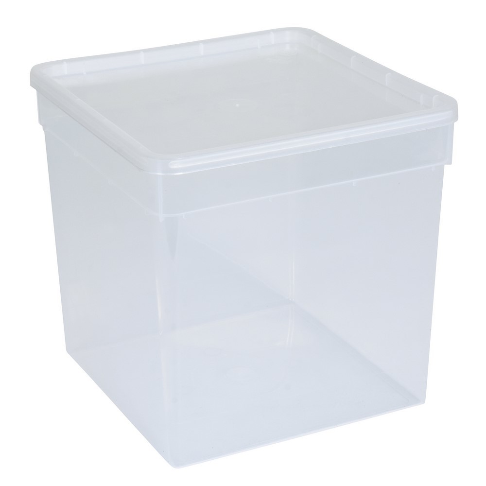

BraPlast Pojemnik Hodowlany 19x19x19 Transparent