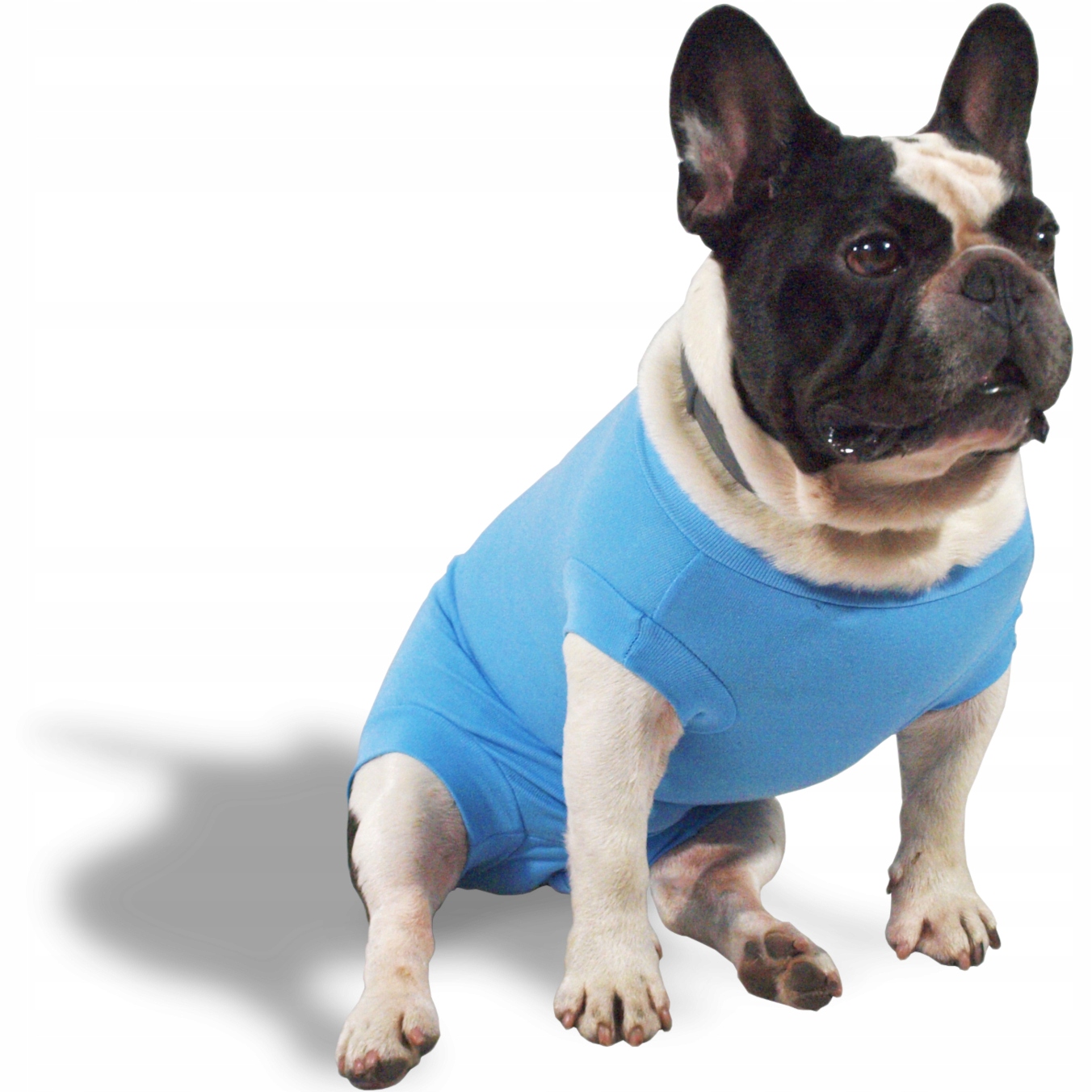 Body pooperacyjne dla zwierząt niebieski; L/M