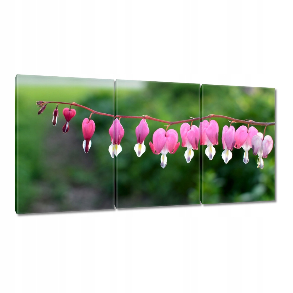 

Obrazy 120x60 Serca Maryi