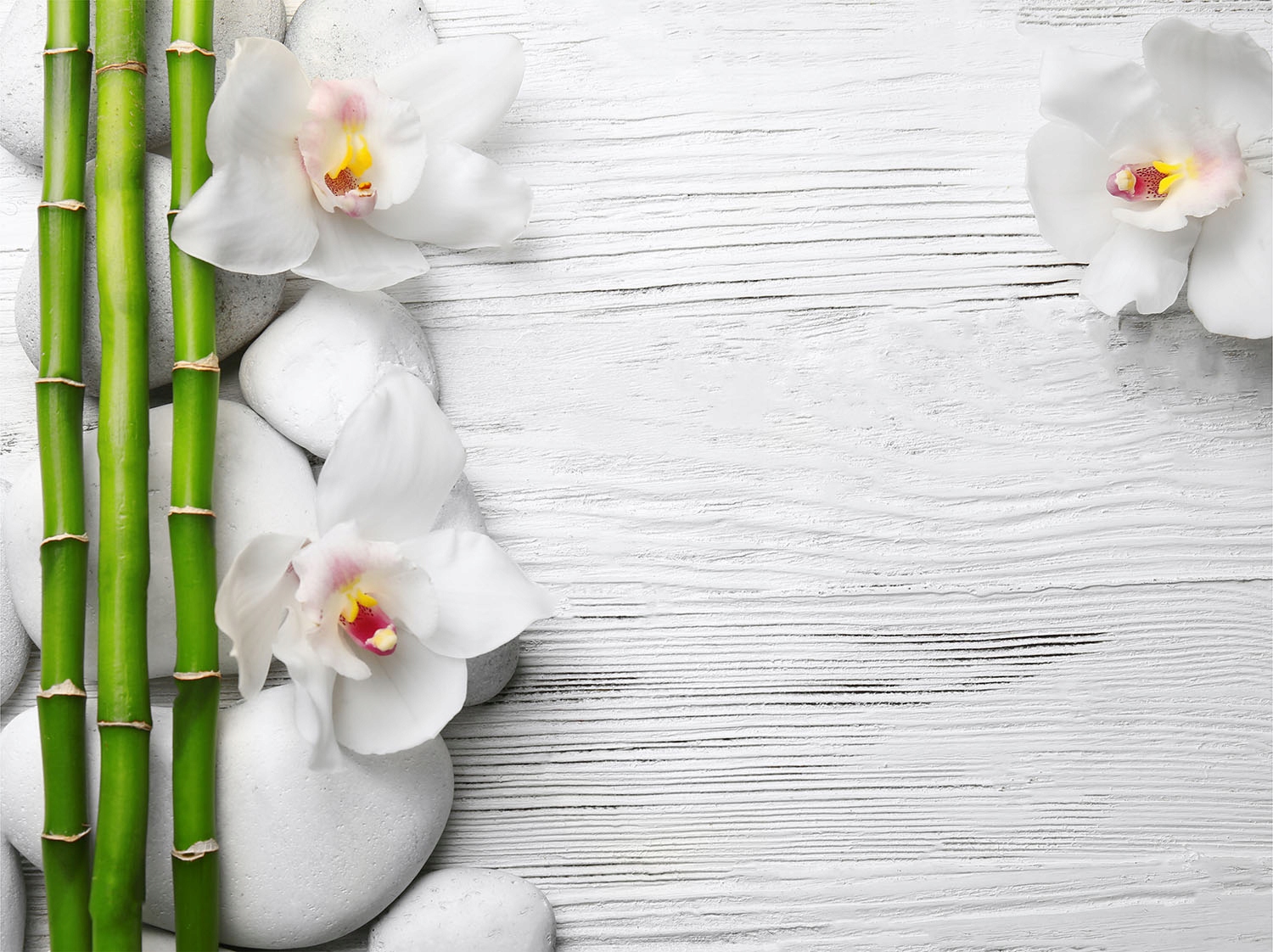 MAGNES NA KALORYFER GRZEJNIK 80x60 KWIATY FOTOTAPETA Materiał mata magnetyczna