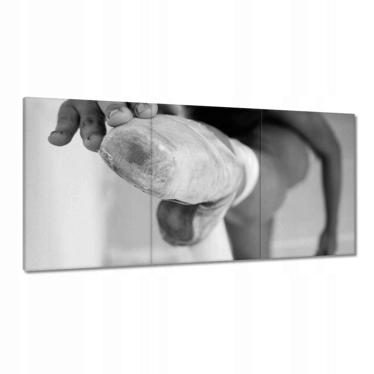 Obrazy 180x90 Balet Baletnica Tanec