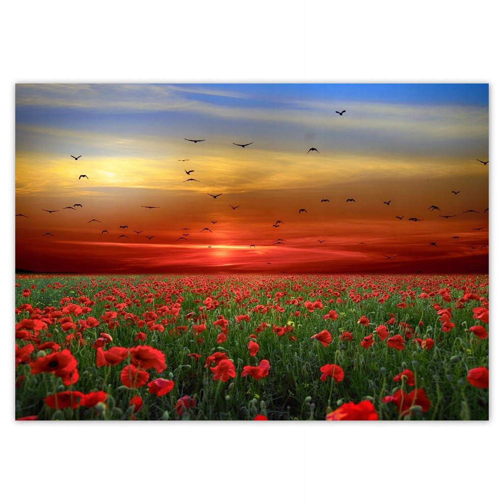 

Naklejki 70x50 Pejzaż Krajobraz Widoczek