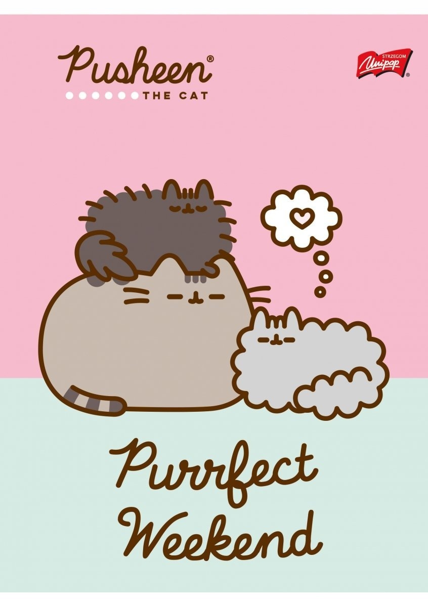 4x Zeszyt A5 w kratkę 32 kartki PUSHEEN Kot Kotek PUSZIN Marka Unipap