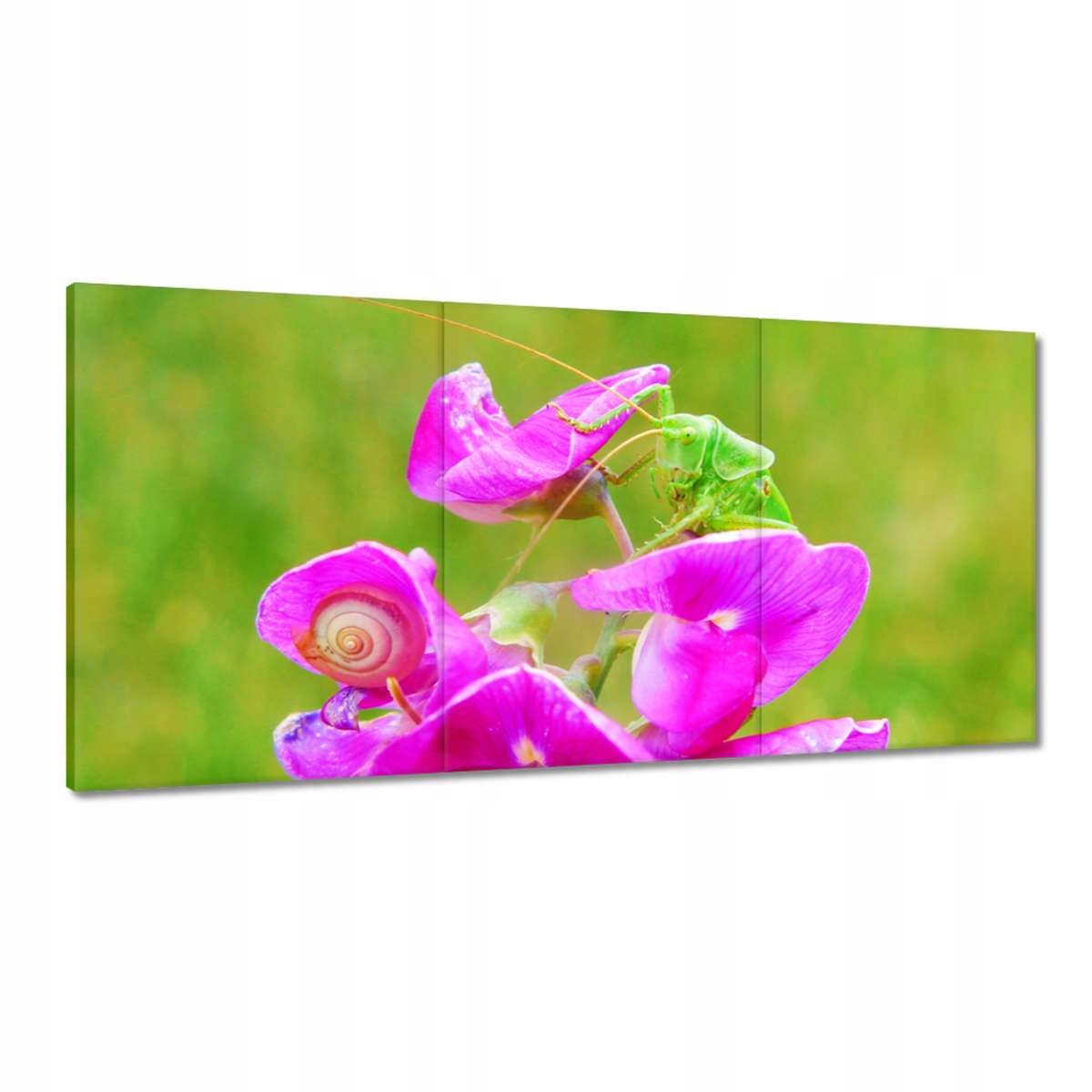 Obrazy 180x90 Zvieratá Zvieratká