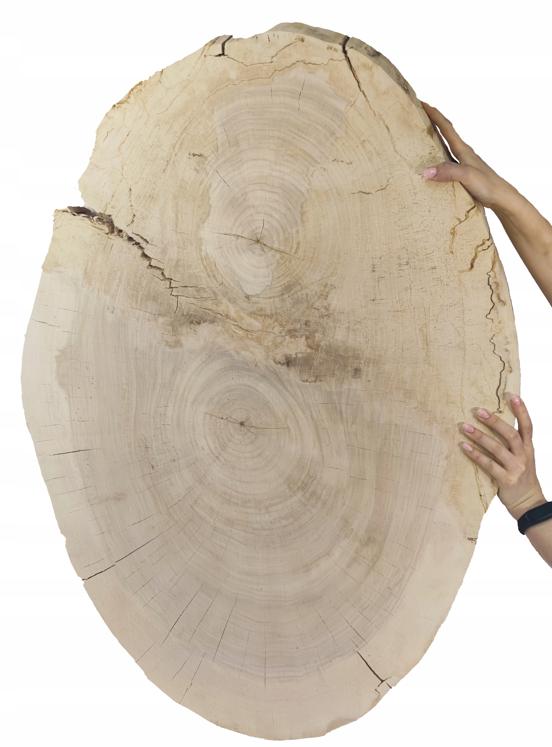 Dřevěný plát topol dřevěná deska na konferenční stolek Topola Unikát 143337