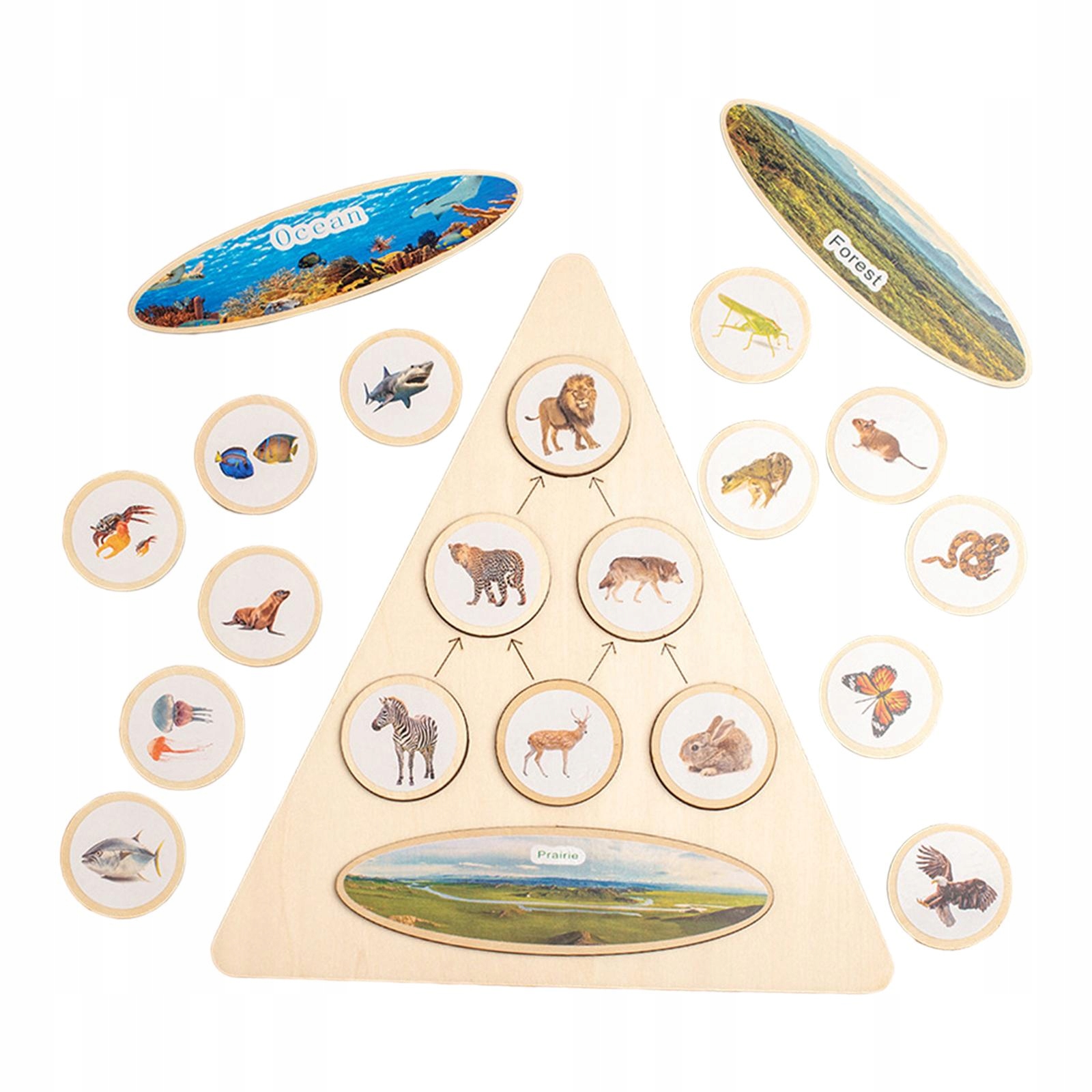  Nazwa not applicable